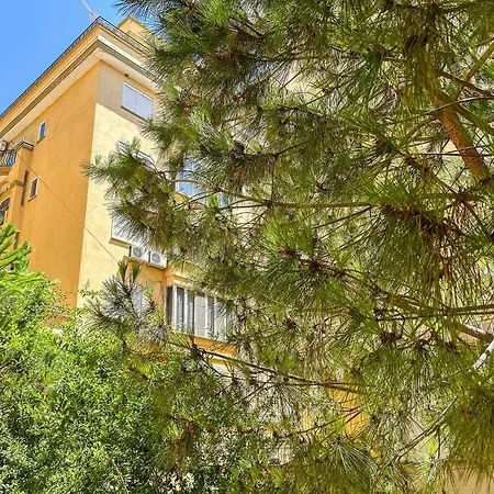 Palm Breeze Escape F52 * Durrës