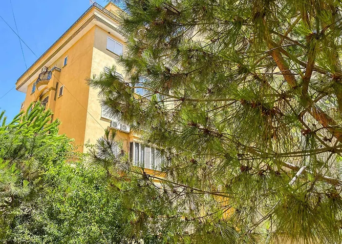 Palm Breeze Escape F52 * Durrës